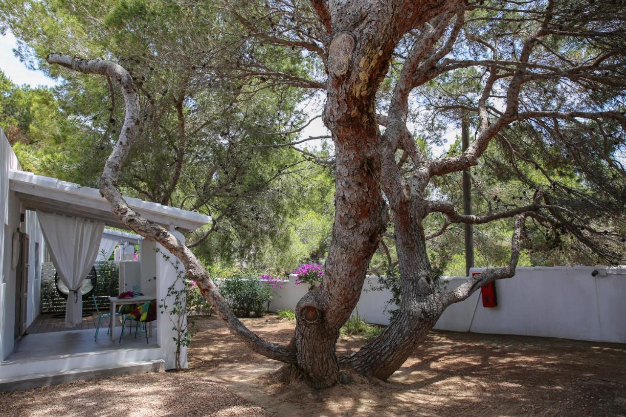 La Hacienda Aparthotel San Ferrán de ses Roques Exteriör bild